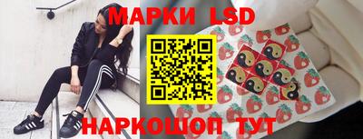 apvp Краснознаменск