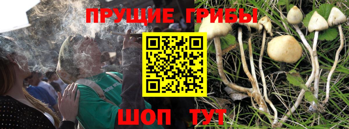 Галлюциногенные грибы мицелий Обнинск
