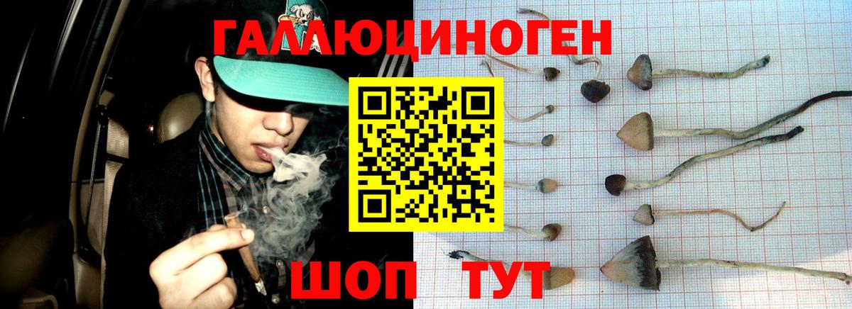 Псилоцибиновые грибы MAGIC MUSHROOMS  Вход с VPN  Обнинск 